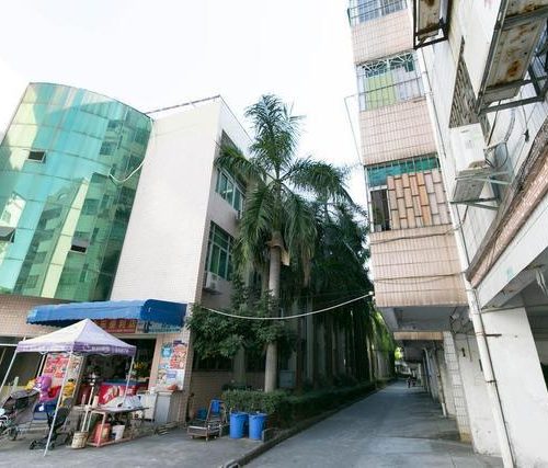 东莞莞城第二教师村老旧小区改造工程开工
